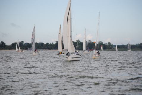 73. Haffregatta