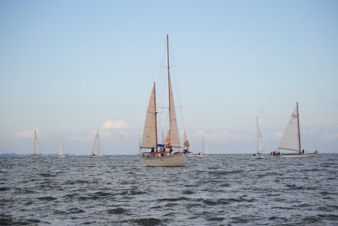 73. Haffregatta
