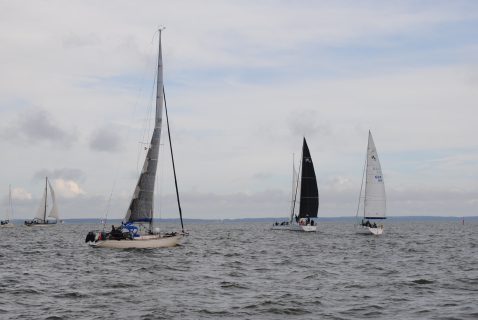73. Haffregatta