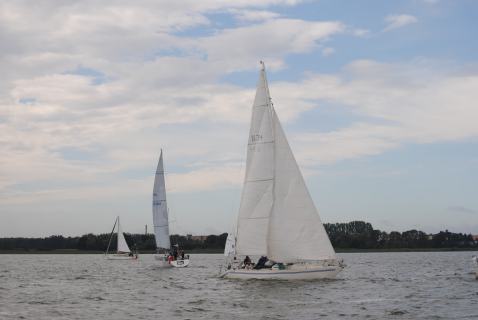 73. Haffregatta