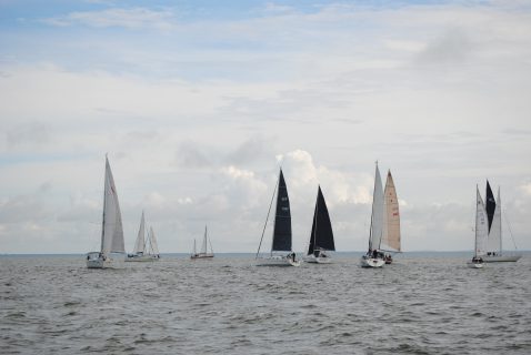 73. Haffregatta