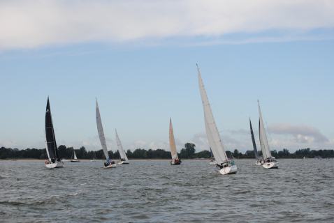 73. Haffregatta