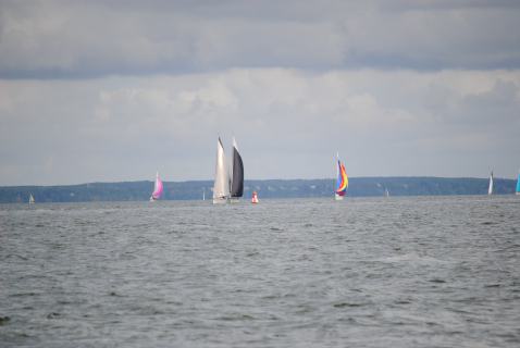73. Haffregatta