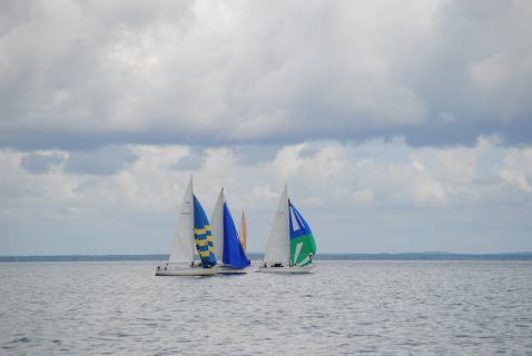 73. Haffregatta