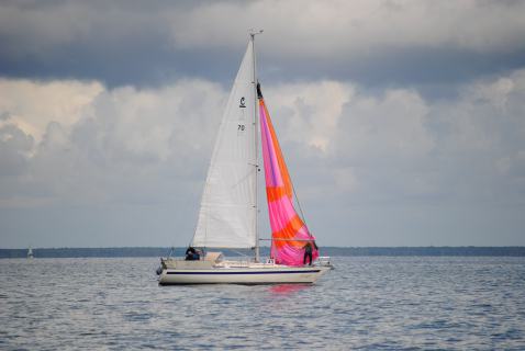 73. Haffregatta