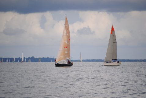 73. Haffregatta