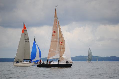 73. Haffregatta