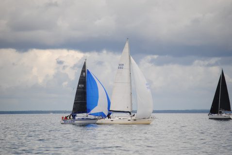 73. Haffregatta