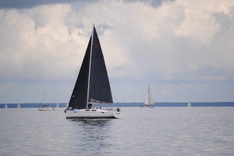 73. Haffregatta