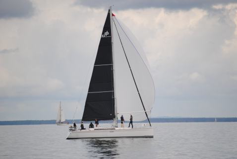 73. Haffregatta