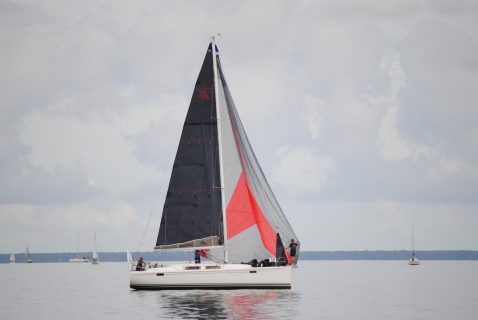 73. Haffregatta
