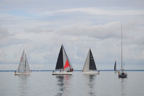 73. Haffregatta
