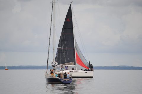 73. Haffregatta