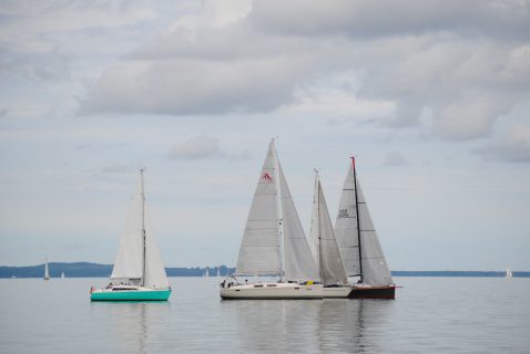 73. Haffregatta