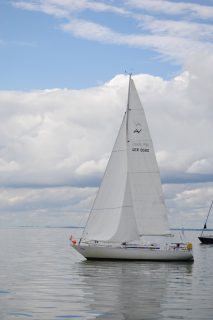 73. Haffregatta
