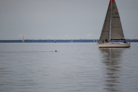 73. Haffregatta