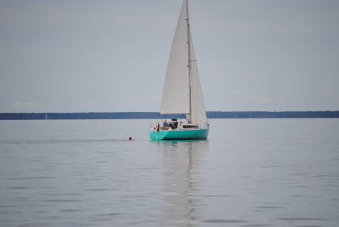 73. Haffregatta