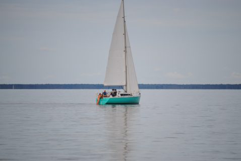73. Haffregatta