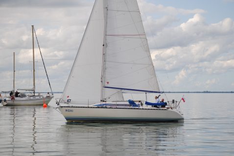 73. Haffregatta
