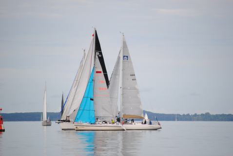 73. Haffregatta