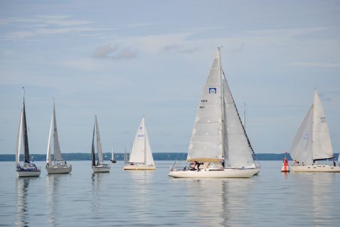 73. Haffregatta