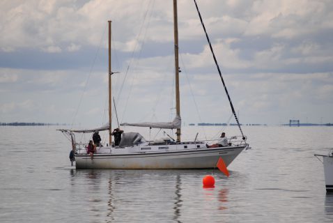 73. Haffregatta