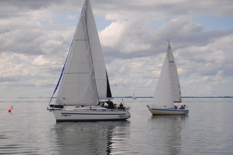 73. Haffregatta