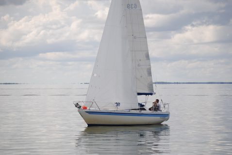 73. Haffregatta