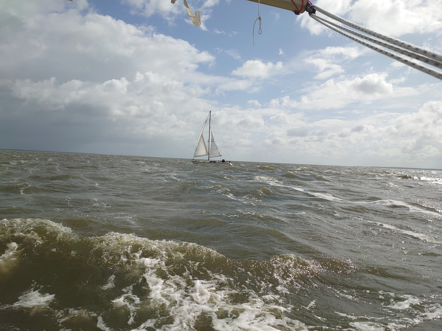 Haffregatta26_Alibaba_06_Foto-Benno-Wessely