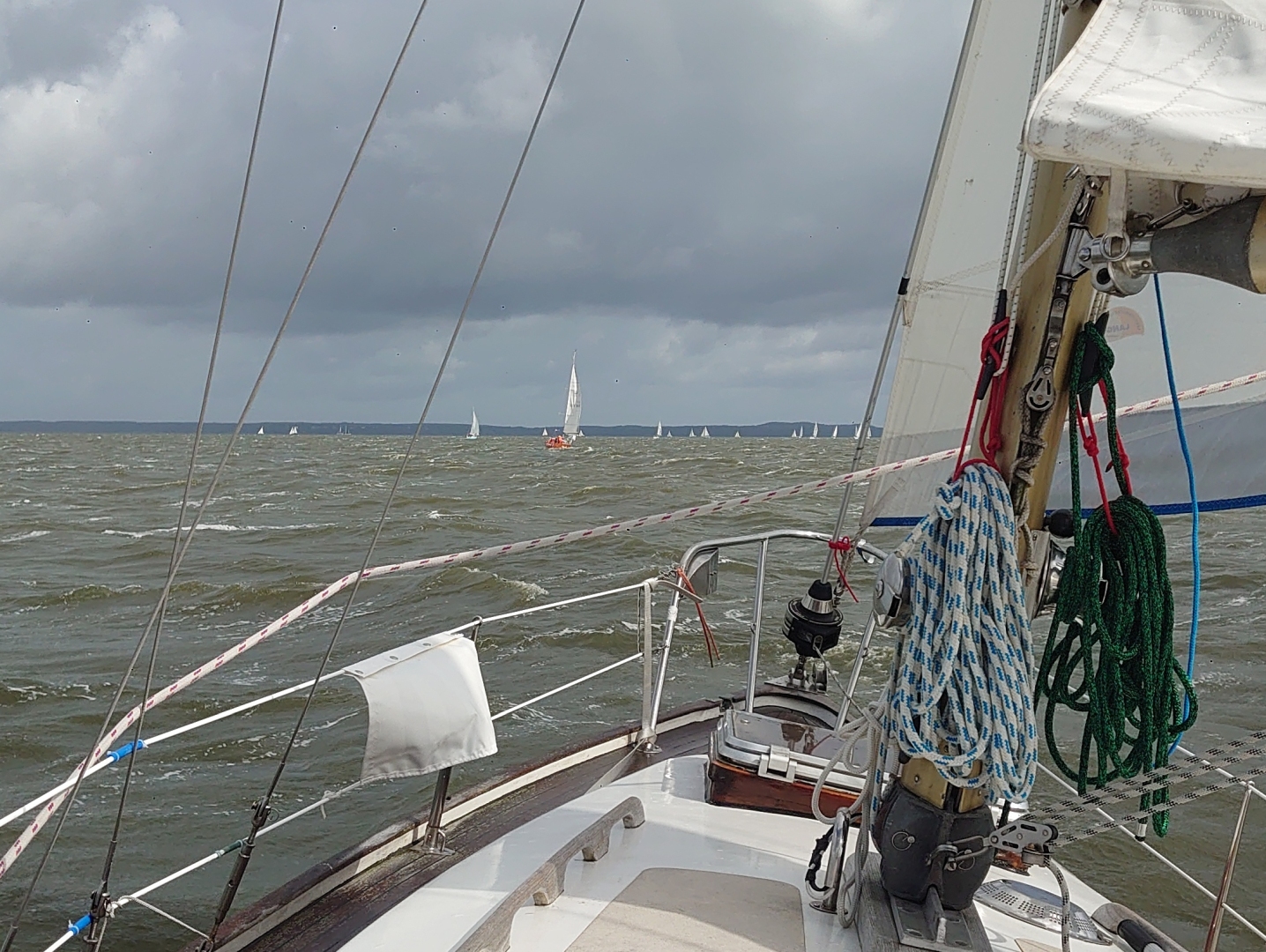 Haffregatta26_Alibaba_08_Foto-Benno-Wessely
