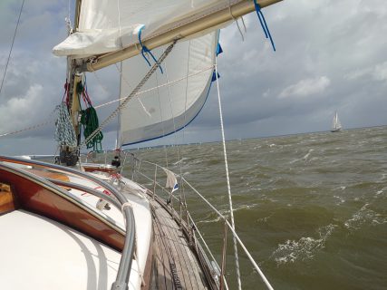 Haffregatta26_Alibaba_07_Foto-Benno-Wessely