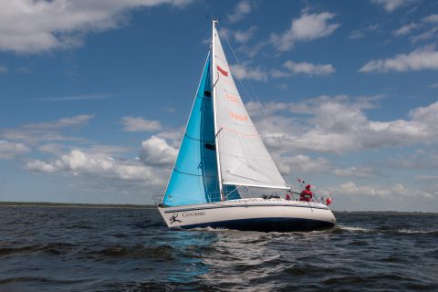 4. DPR_19