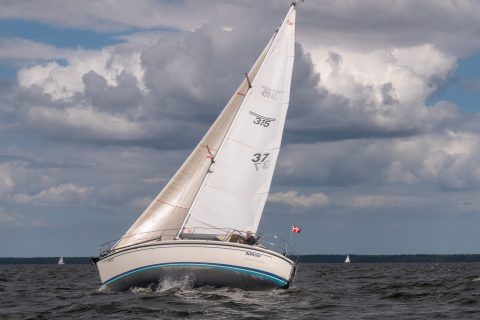 4. DPR_29