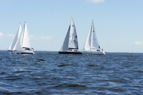 4. DPR_35