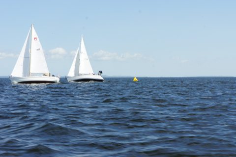 4. DPR_33