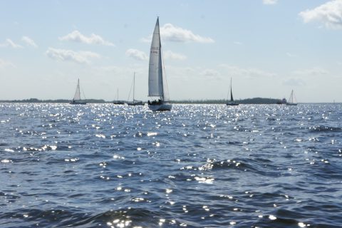 4. DPR_36