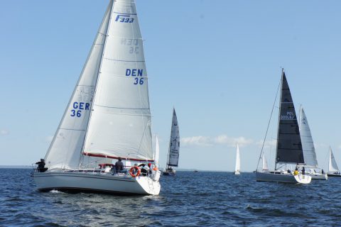 4. DPR_06