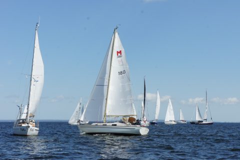 4. DPR_07