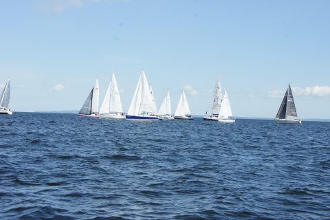 4. DPR_08