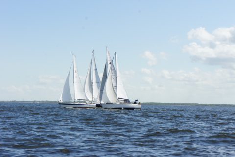 4. DPR_11