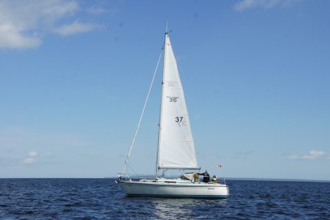 4. DPR_37