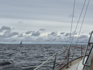 Segelboote auf dem Haff. Das Wasser ist wellig, der Himmel ist wolkenverhangen.